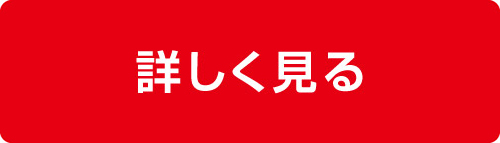 お得なカーリース